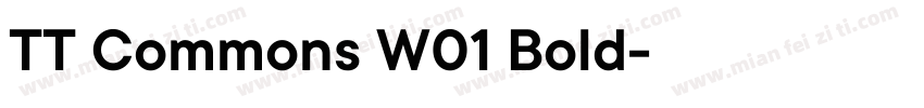 TT Commons W01 Bold字体转换